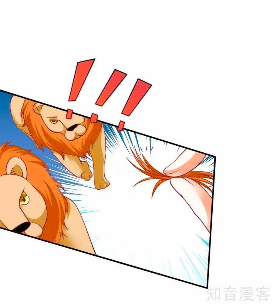 Sủng Hậu Của Vương: Chapter 34