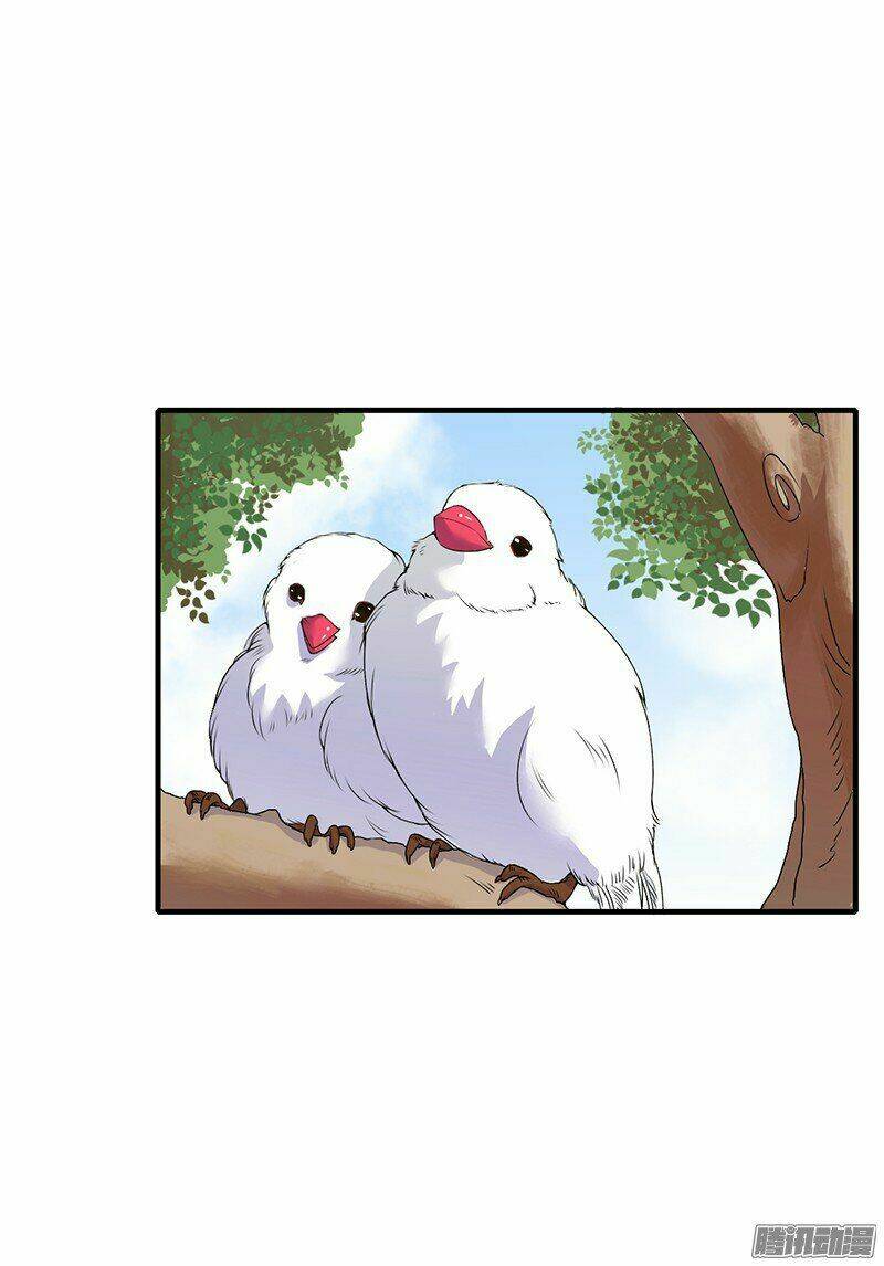 Thiểm Hôn Kinh Ái: Chapter 9