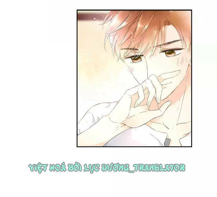 Tình yêu là màu hoa anh thảo: Chapter 20.5