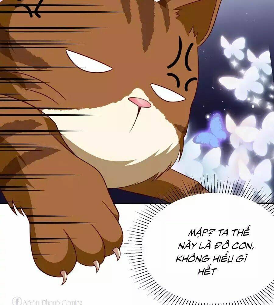 Sủng Hậu Của Vương: Chapter 6
