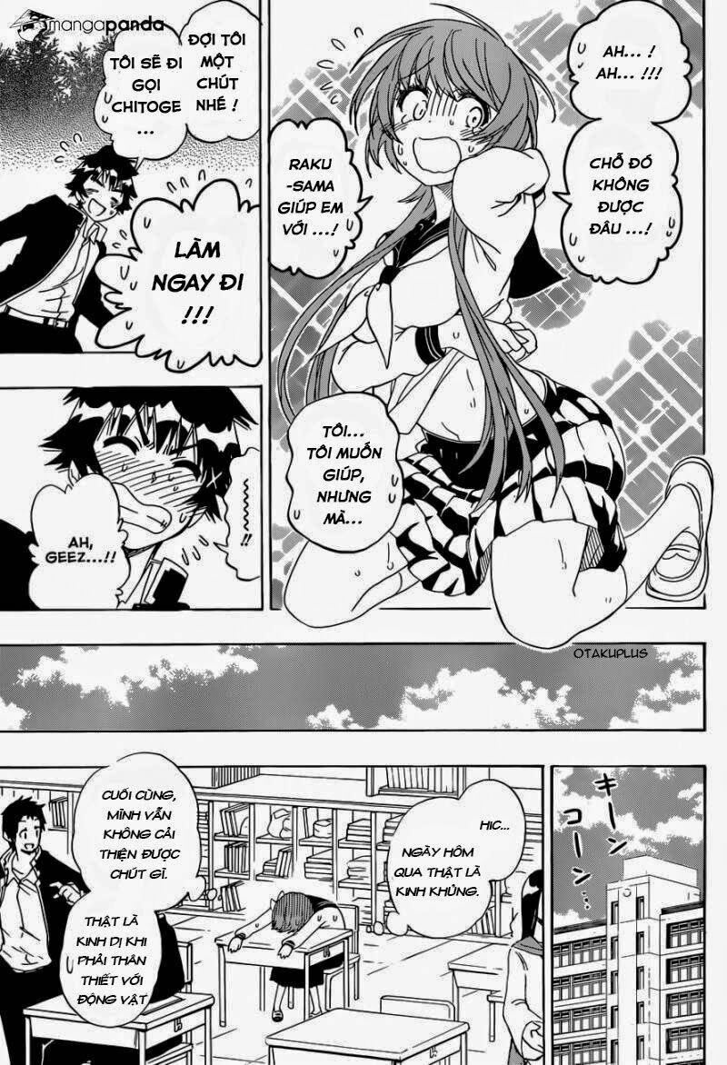 Tình Yêu Ngang Trái: Chapter 142