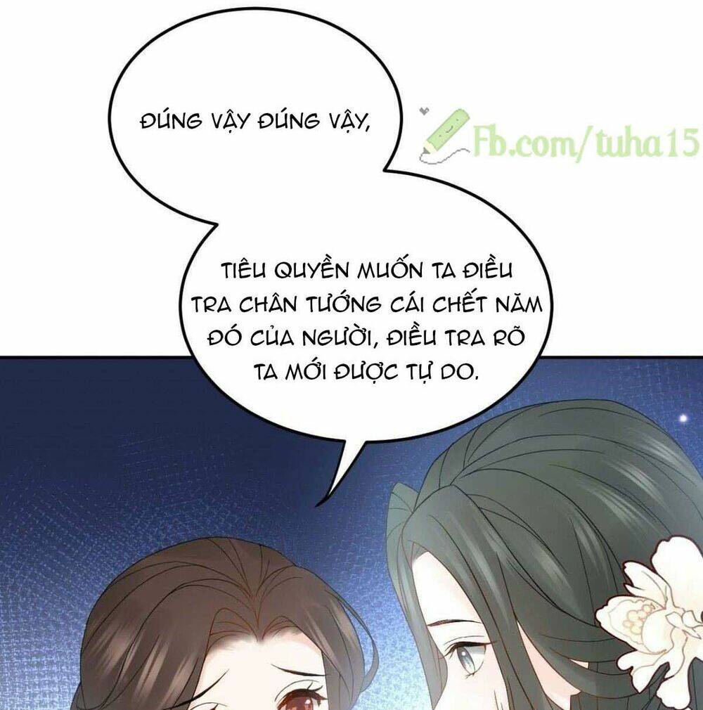 Vương Phi Thông Linh: Chapter 11