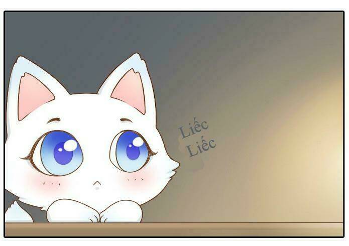 Tiểu Hồ Ly vs Tiểu Hóa Thượng: Chapter 5