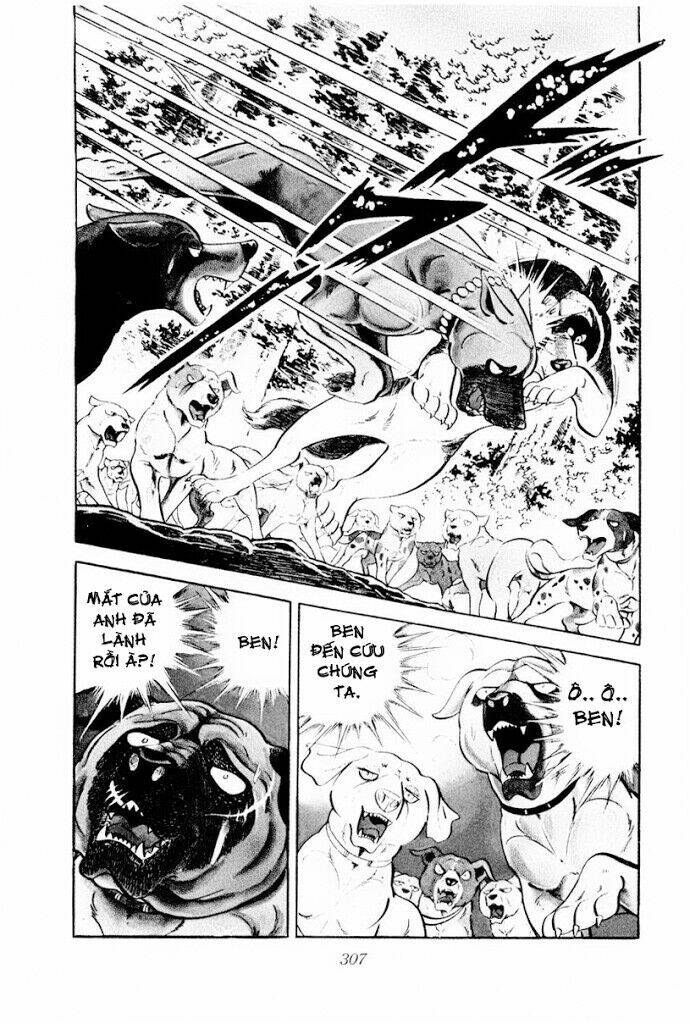Chú Chó Có Nghĩa - Ginga Nagareboshi Gin: Chapter 30.2