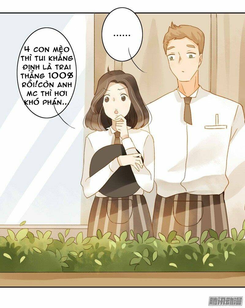 Sức Mạnh Của Sắc Đẹp: Chapter 84