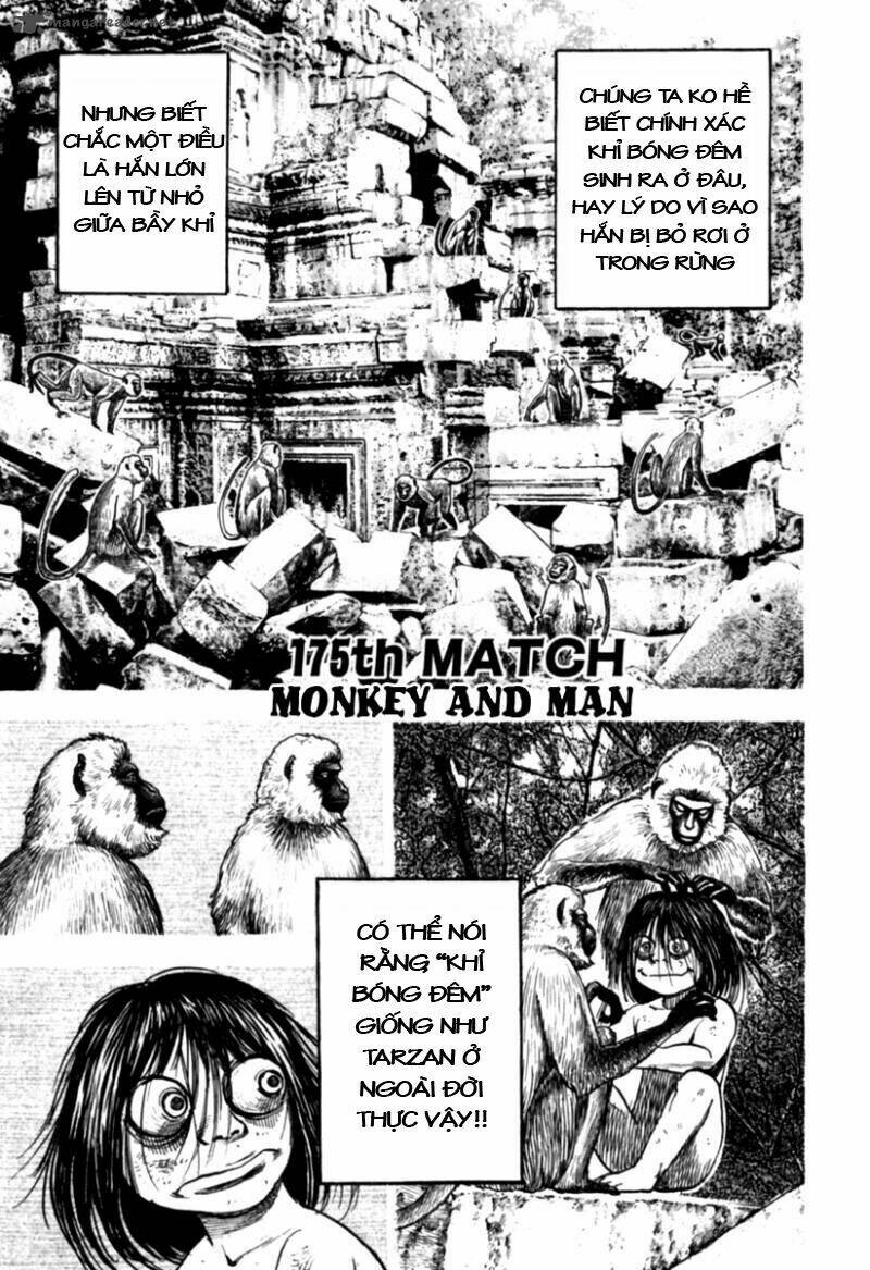 Tough - Miyazawa Kiichi: Chapter 175