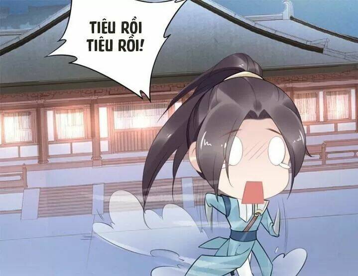 Nhất Sinh Nhất Thế Tiếu Thương Khung: Chapter 65