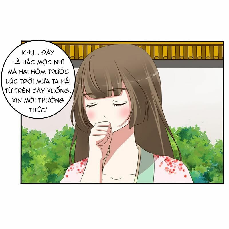 Thông Linh Phi: Chapter 104.5