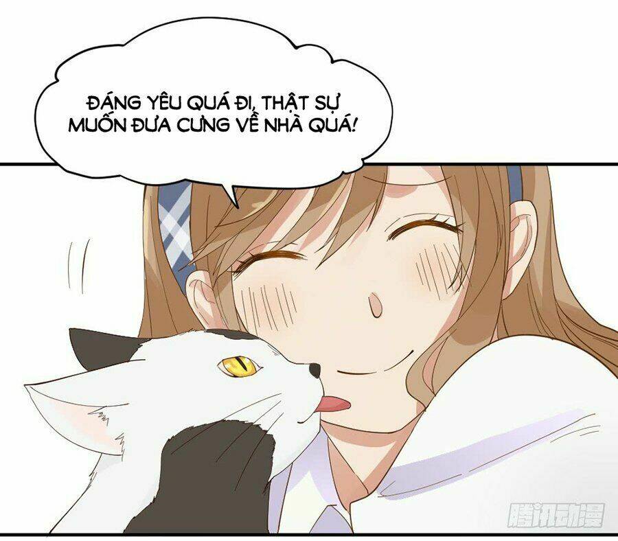 Nguyệt Lão Không Cho Phép Tôi Yêu Đương: Chapter 1.2