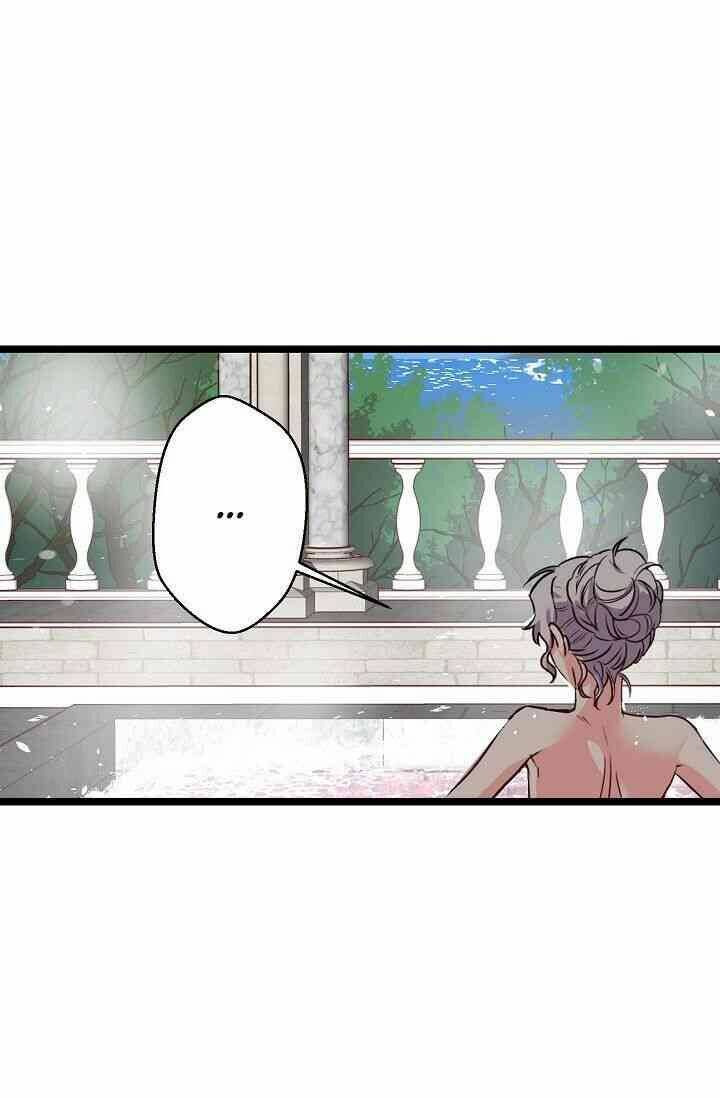 Hôn Lễ Báo Thù: Chapter 12