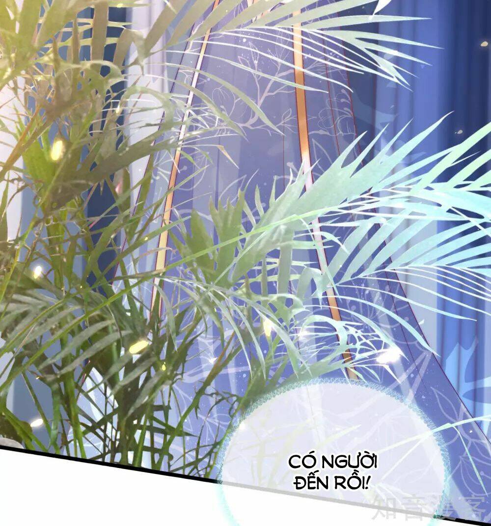 Sủng Hậu Của Vương: Chapter 81