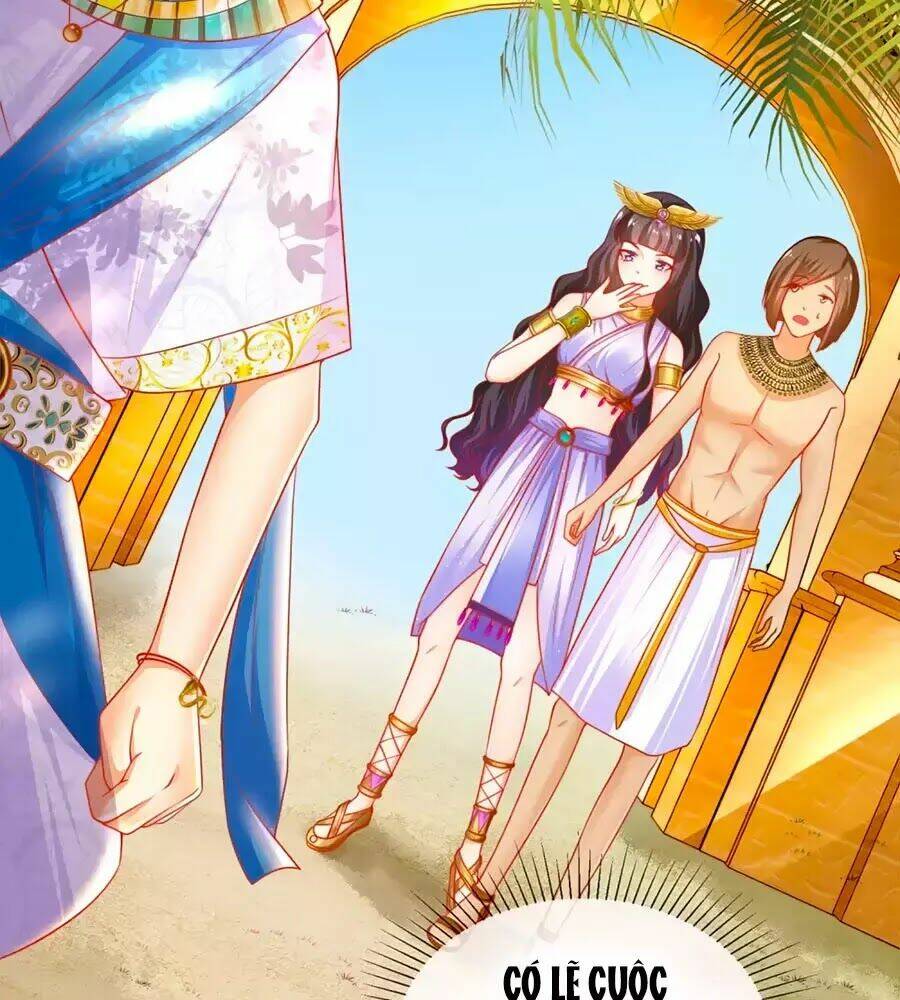 Sủng Hậu Của Vương: Chapter 2
