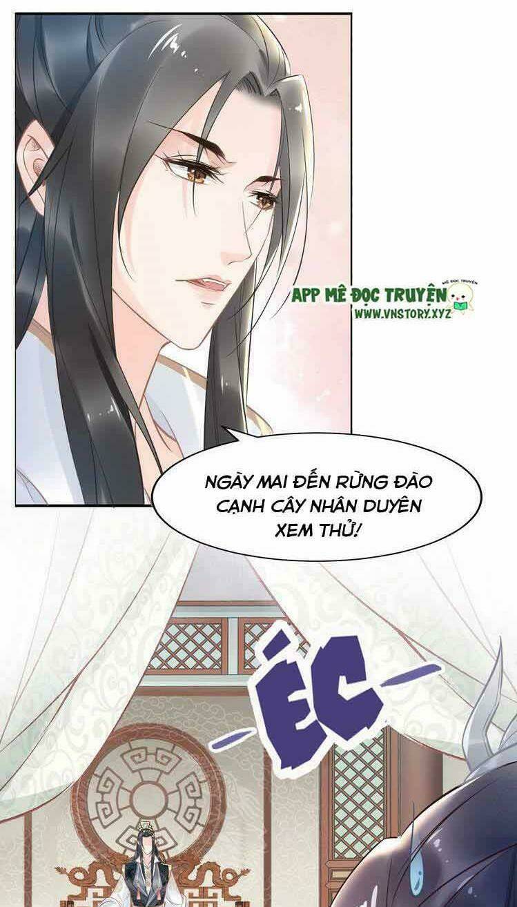 Nhất Sinh Nhất Thế Tiếu Thương Khung: Chapter 28