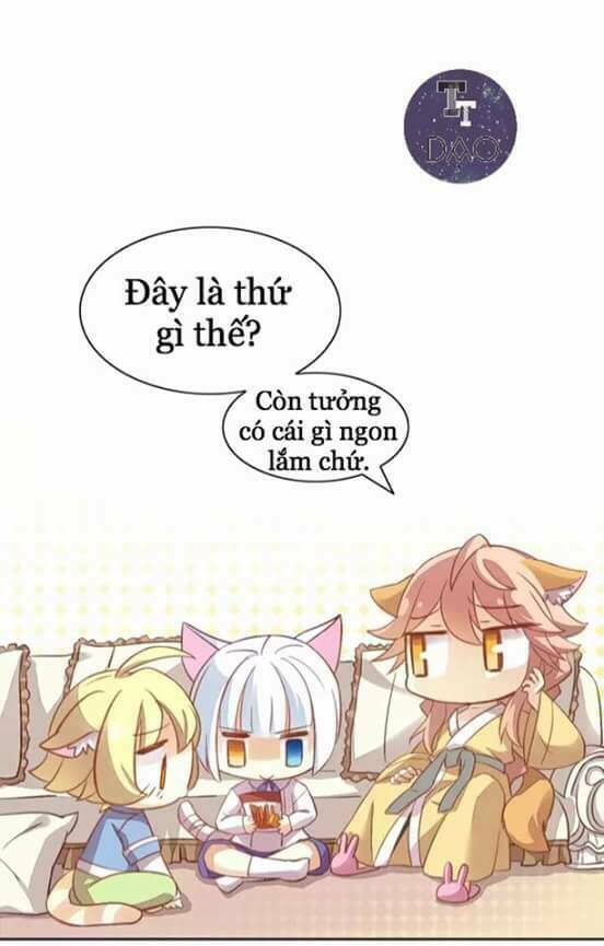 Dưới Móng Vuốt Mèo: Chapter 6