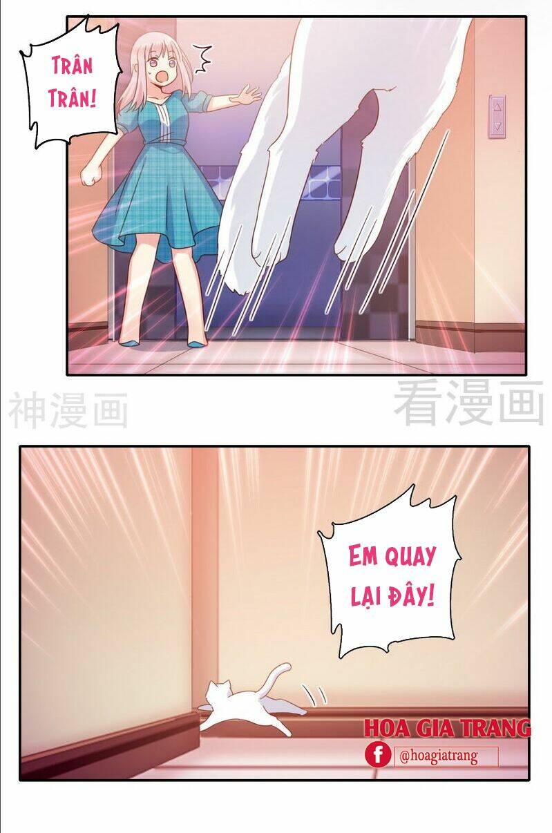 Phục Thù Thiếu Gia Tiểu Điềm Thê: Chapter 58