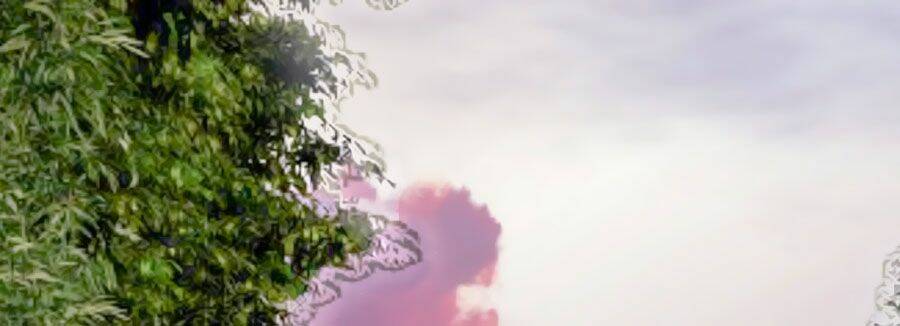 Lưu Luyến Tinh Diệu: Chapter 101