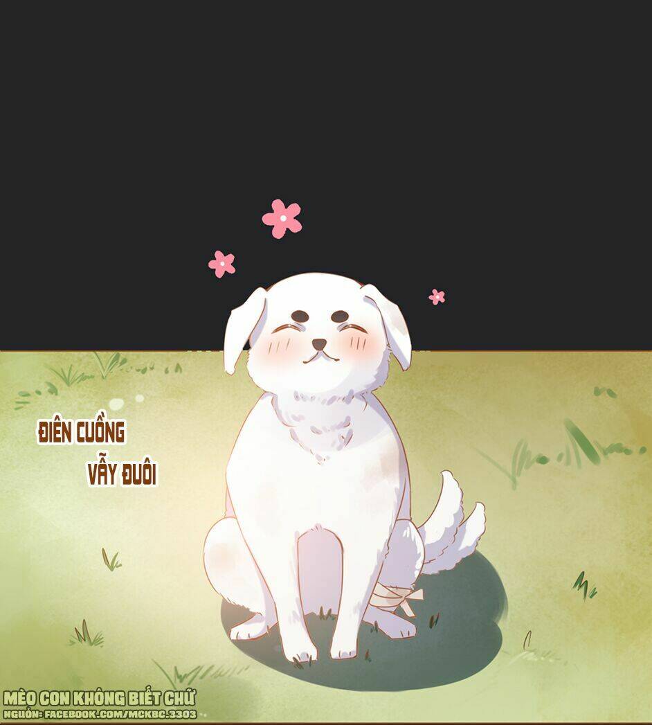 Boss Khủng Bố Chiếm Đoạt Ta: Chapter 2