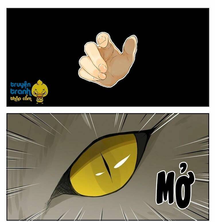 Cứu Mạng! Loài Mèo Thống Trị Thế Giới Rồi!: Chapter 25