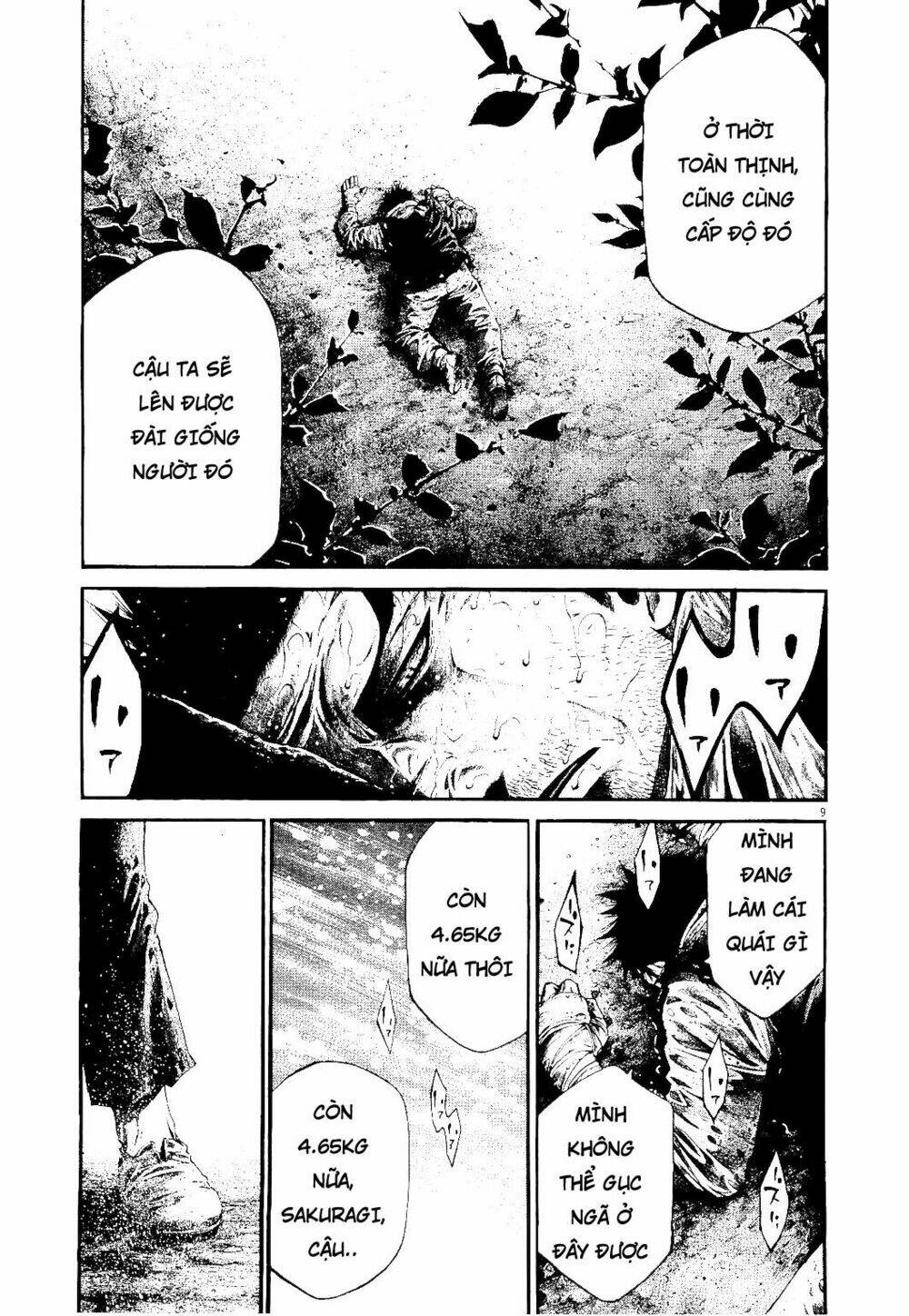 Rainbow: Chapter 227