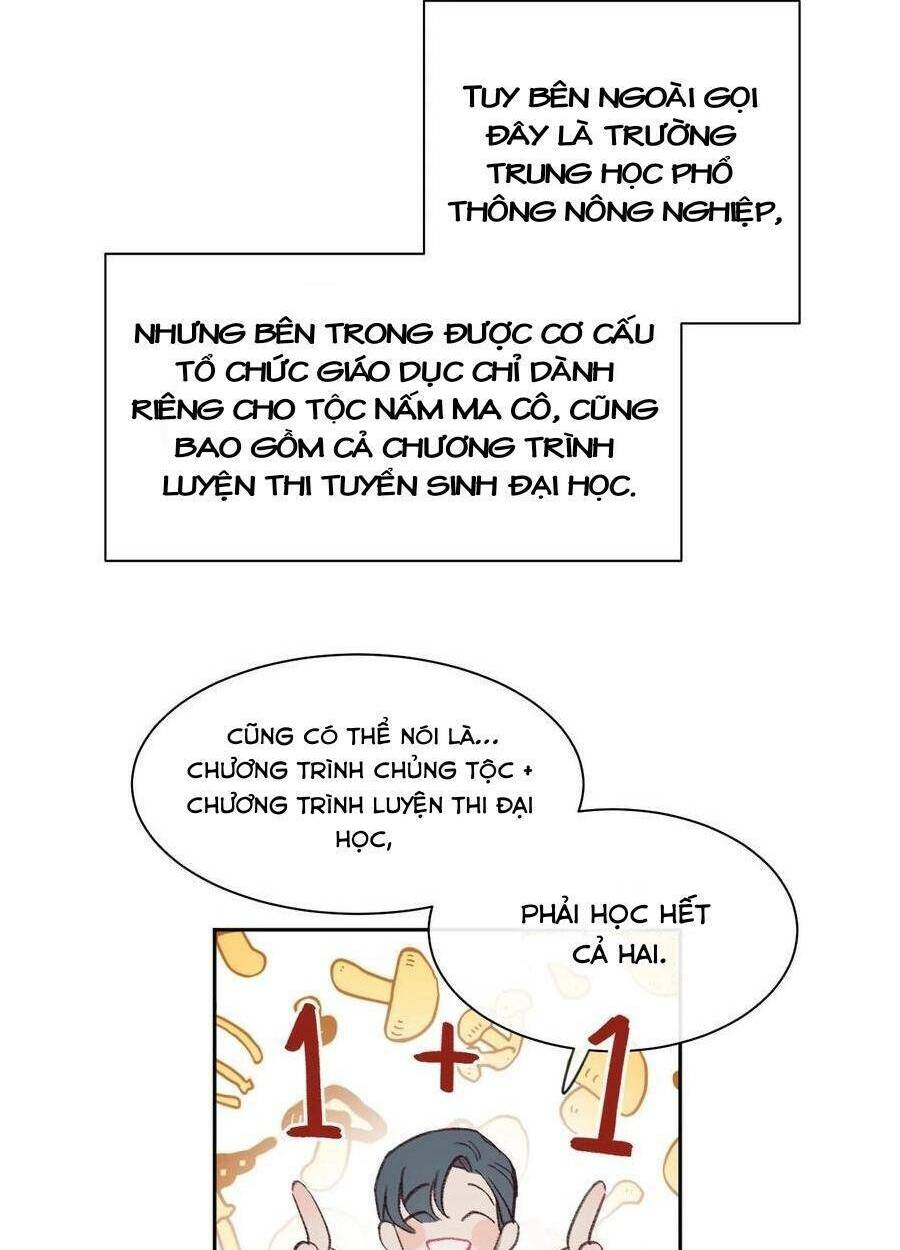 Nhật Ký Nấm Ma Cô: Chapter 6