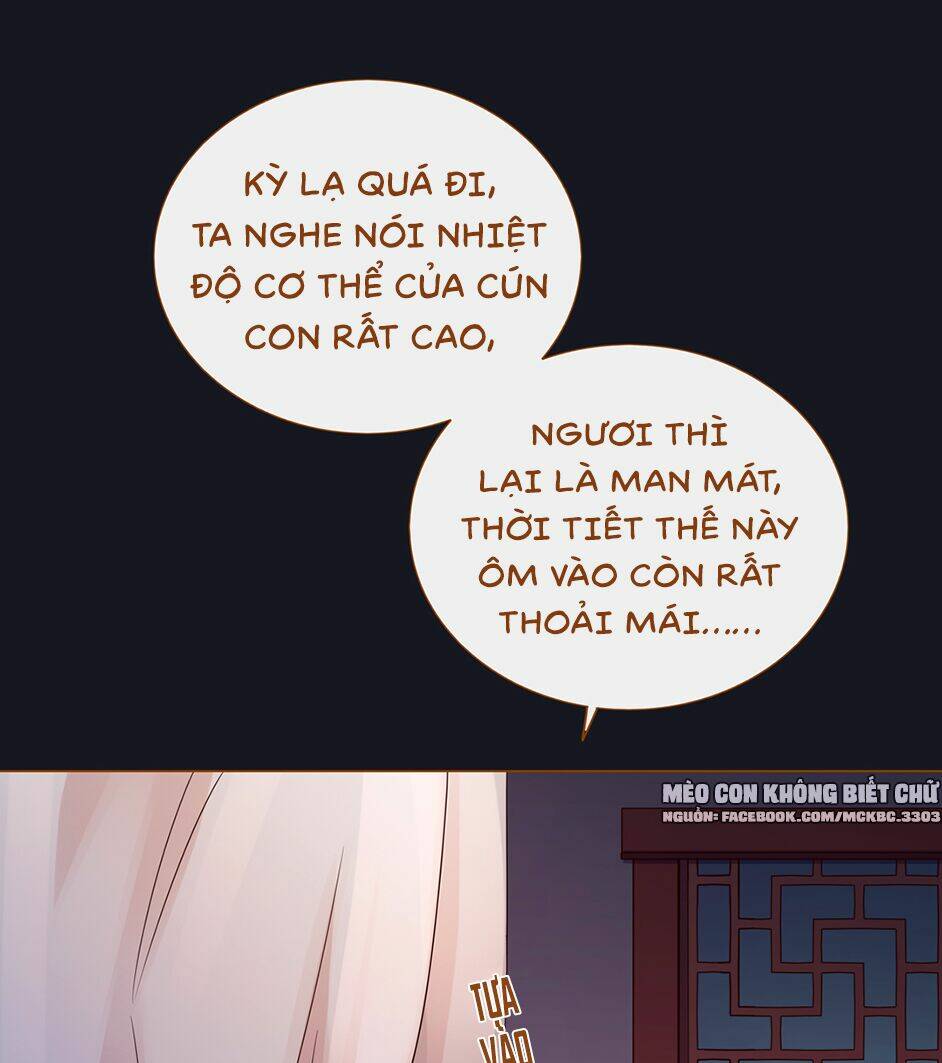 Boss Khủng Bố Chiếm Đoạt Ta: Chapter 6