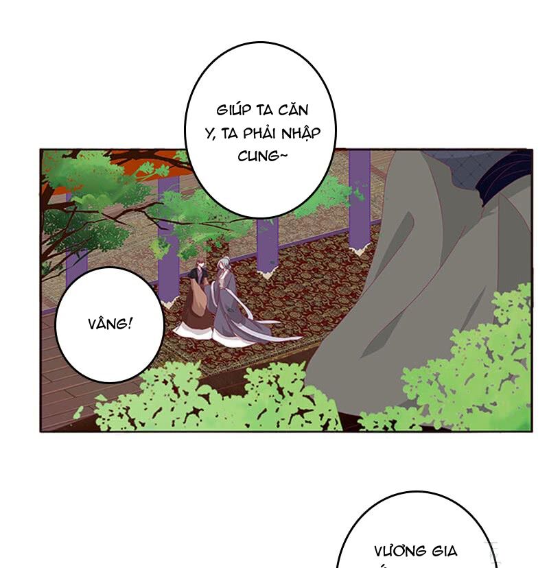 Thông Linh Phi: Chapter 319