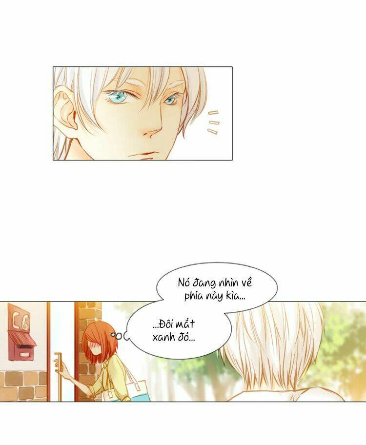 Little Rain: Chapter 1