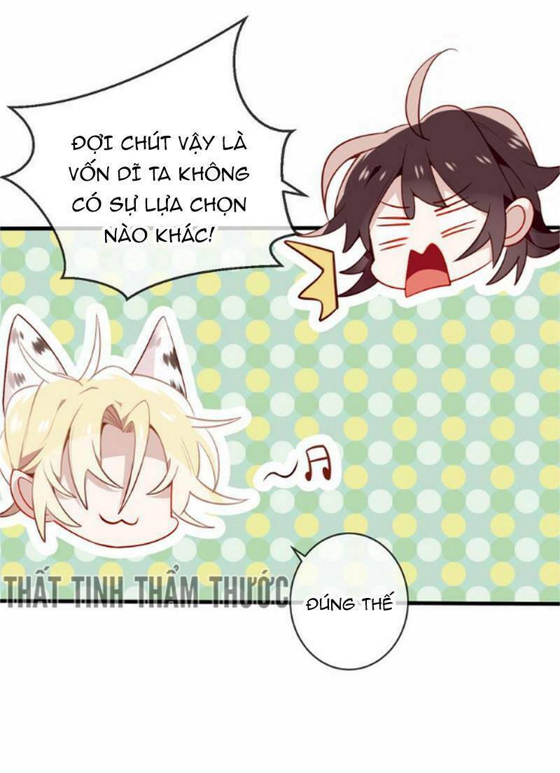 Ngô hoàng tại thượng: Chapter 23