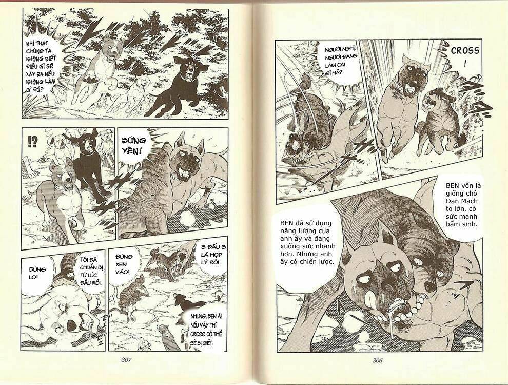 Chú Chó Có Nghĩa - Ginga Nagareboshi Gin: Chapter 12