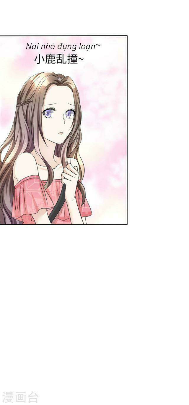 Con Đường Phản Công Của Sủng Thê: Chapter 29