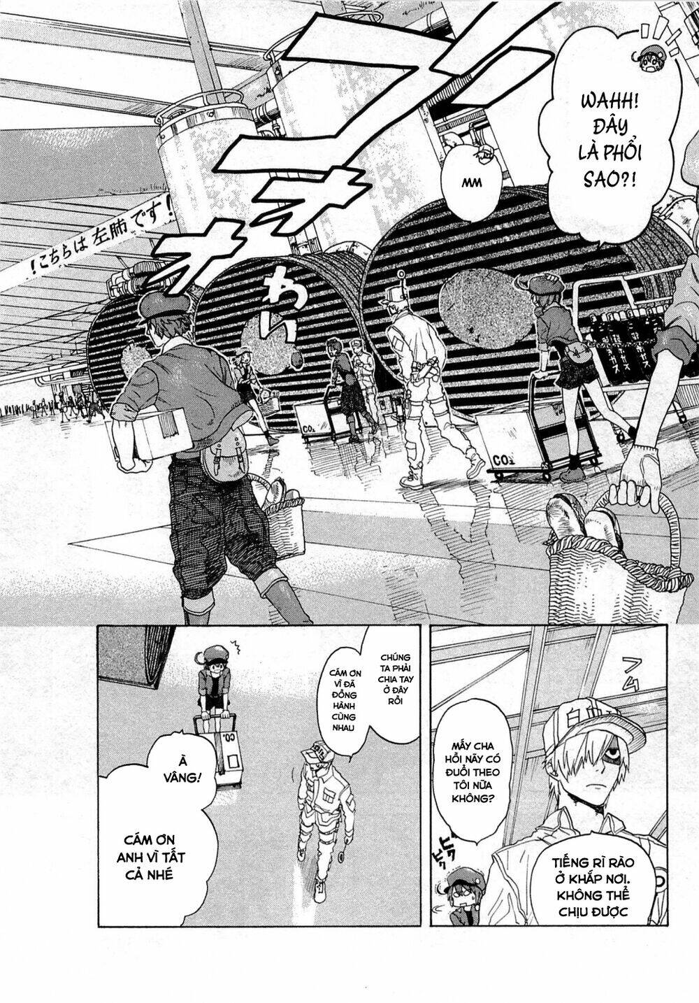 Hataraku Saibou!: Chapter 1