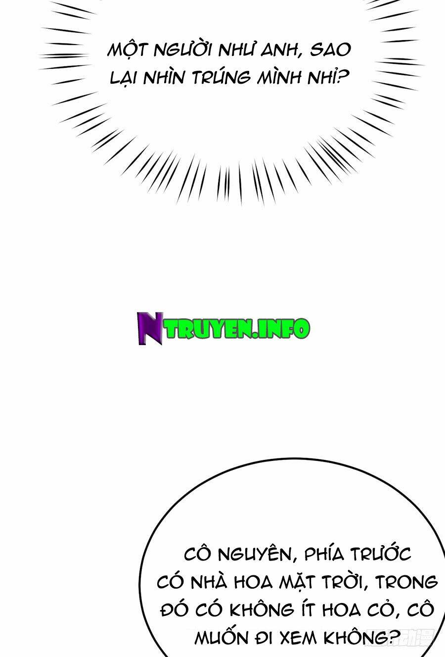 Nam Thần Truy Thê Chỉ Nam: Chapter 46.2