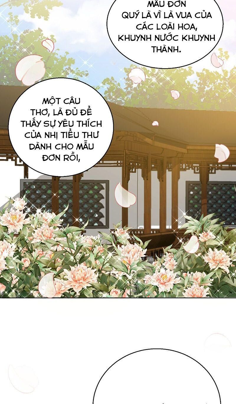 Công Lược Trưởng Thành Của Vương Phi: Chapter 29