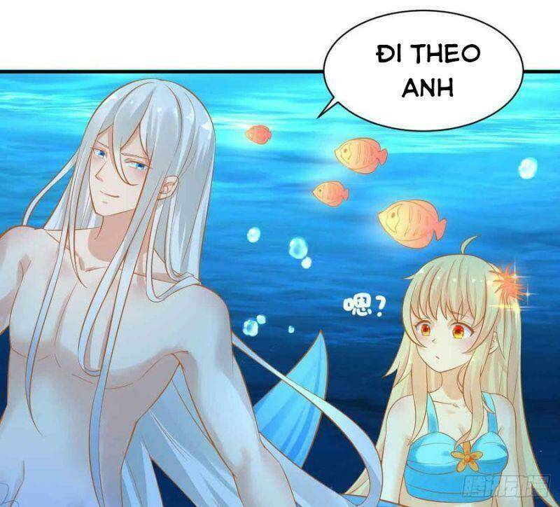 Nhân Ngư Học Trưởng, Đừng Ôm Ta!: Chapter 84