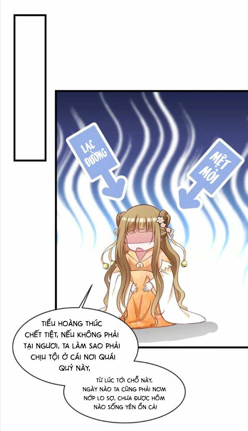 Tiểu Hoàng Thư Và Tiểu Hoàng Thúc: Chapter 43