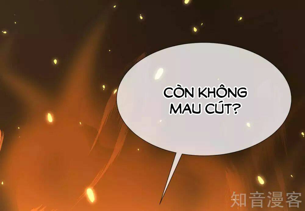 Sủng Hậu Của Vương: Chapter 37