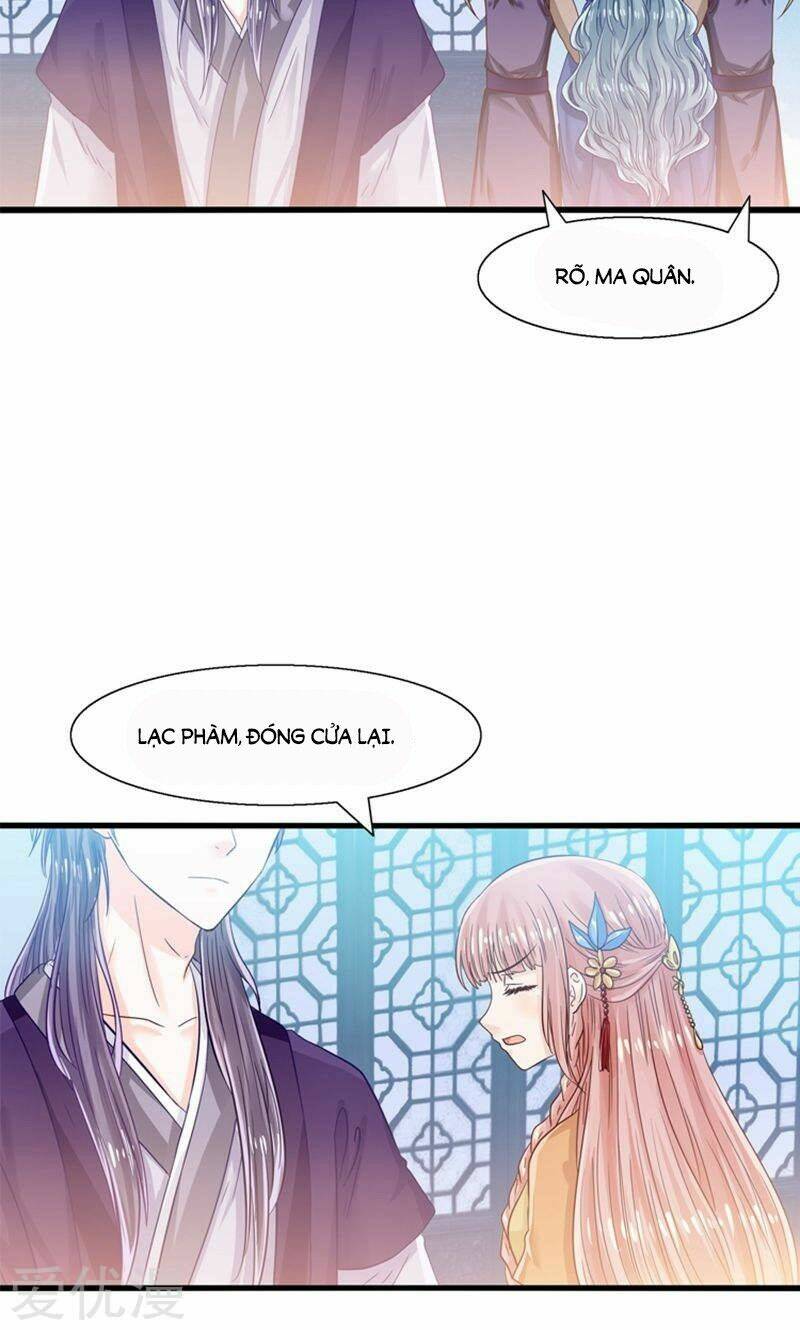 Tôi Bị Gấu Trúc Nhìn Trúng Rồi: Chapter 24