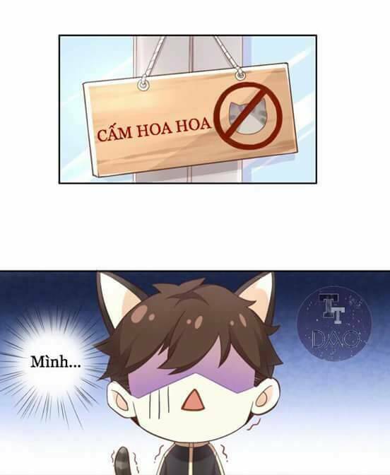 Dưới Móng Vuốt Mèo: Chapter 2
