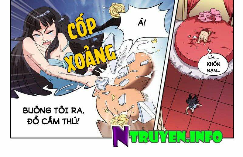 Cô Vợ Cao Lãnh Của Tổng Tài Cấp Cao: Chapter 1
