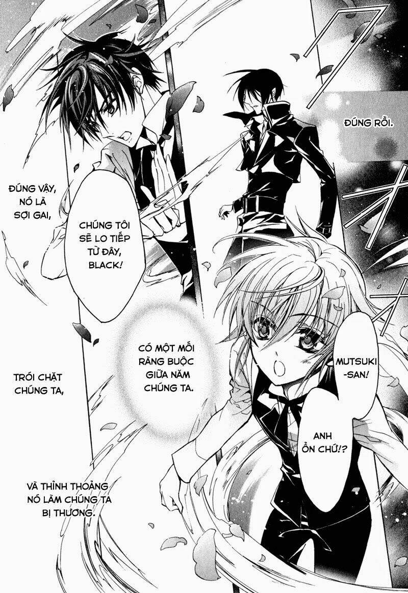 Nụ Hôn Của Công Chúa Tường Vi: Chapter 23