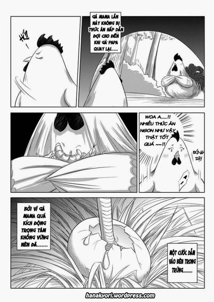 Ta Không Muốn Nói Ta Chỉ Là Một Con Gà: Chapter 11.5