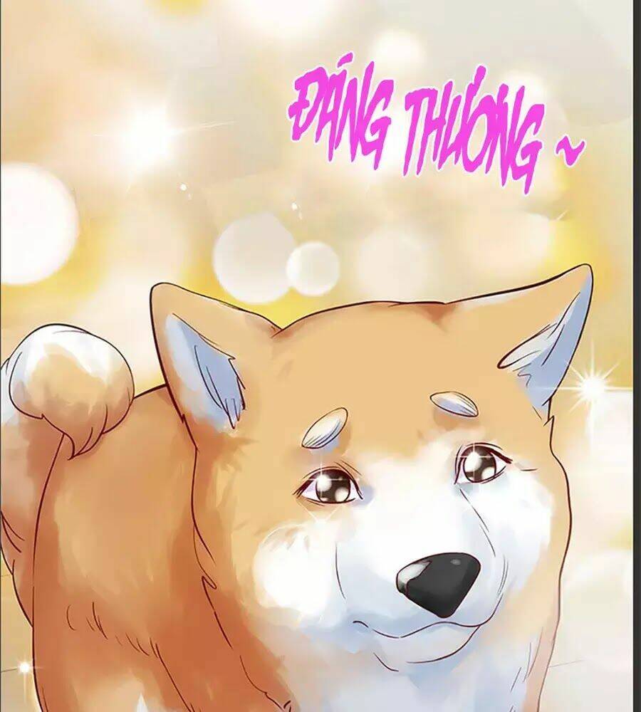 Bạn Trai 1/4 Của Tôi: Chapter 10