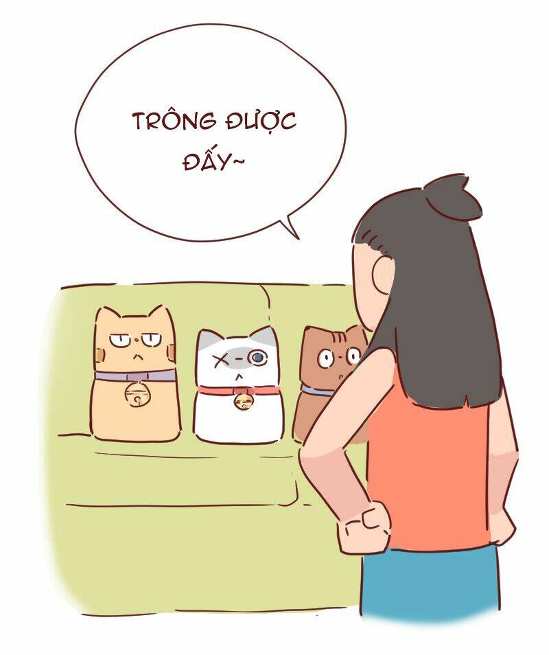 Saphie: Chú mèo một mắt: Chapter 28