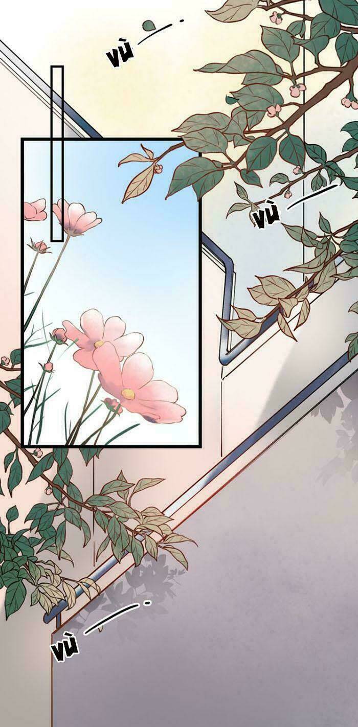 Trạch Thượng Tịch Mịch Huỳnh Hỏa: Chapter 16