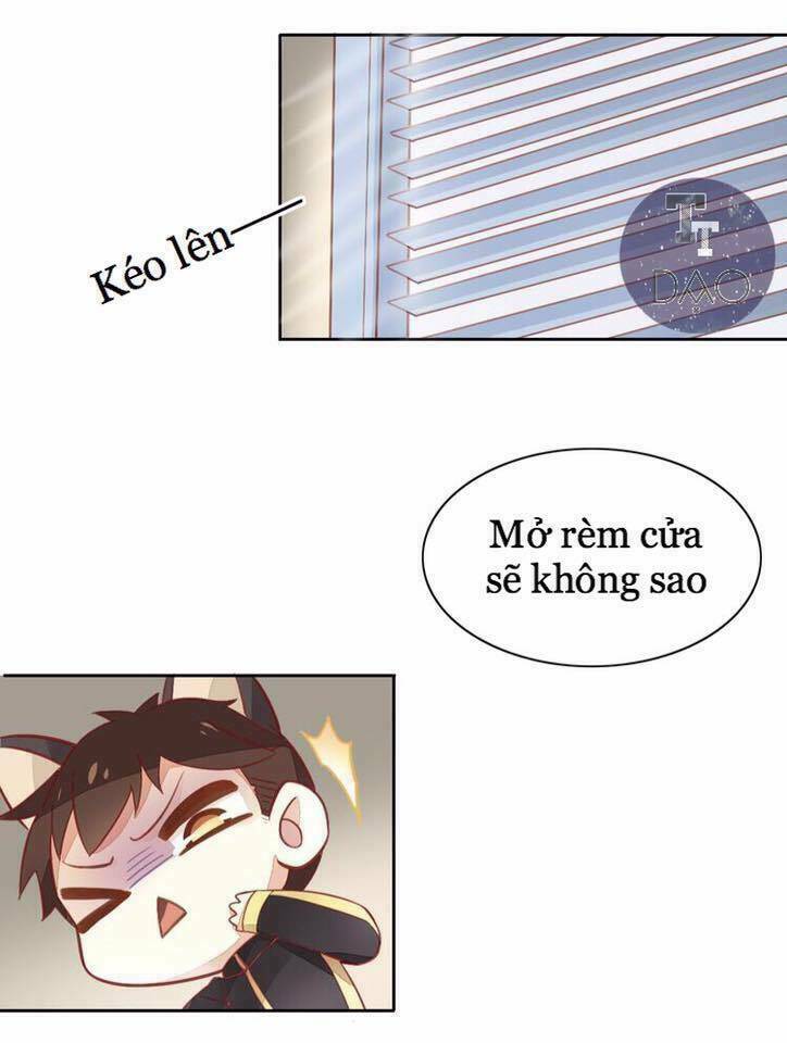 Dưới Móng Vuốt Mèo: Chapter 4