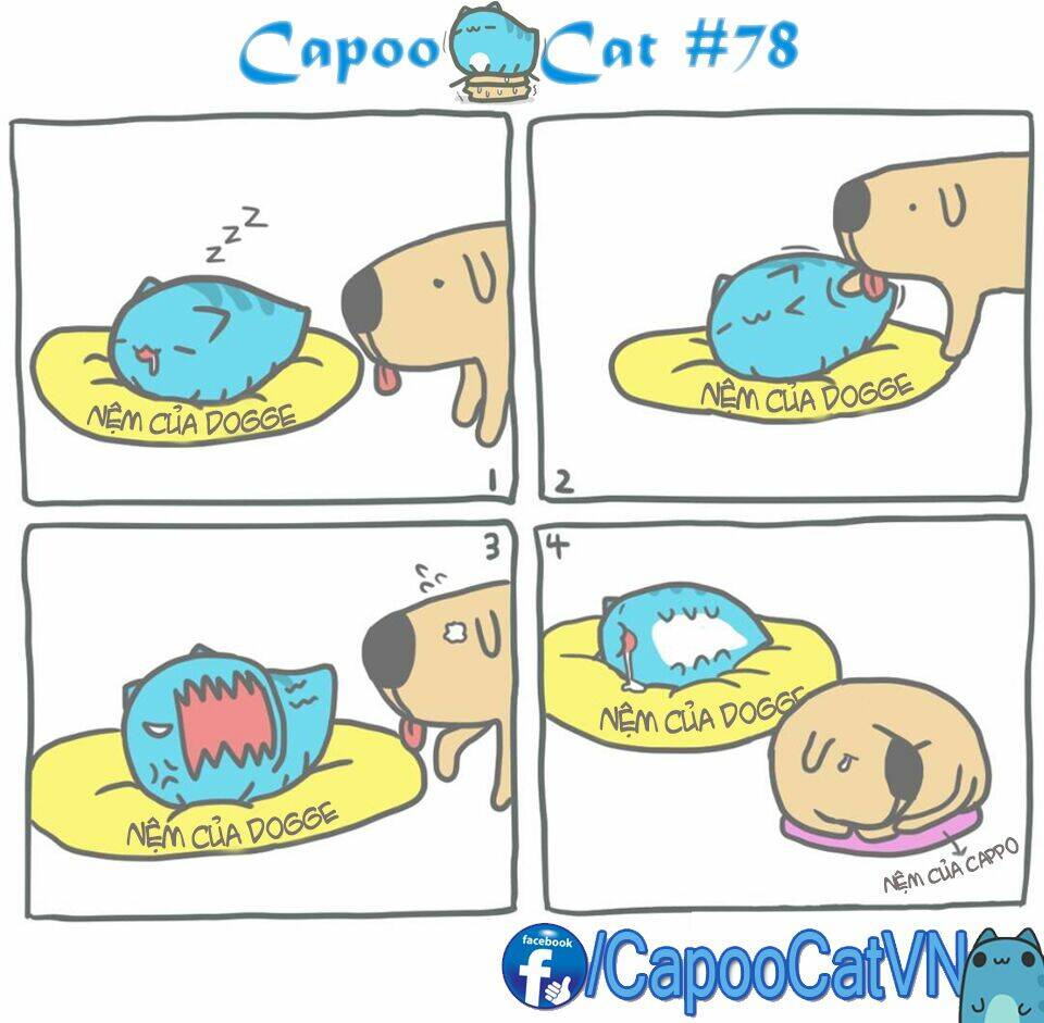 Capoo Cat: Chapter 8
