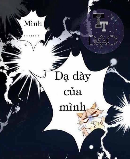 Dưới Móng Vuốt Mèo: Chapter 3
