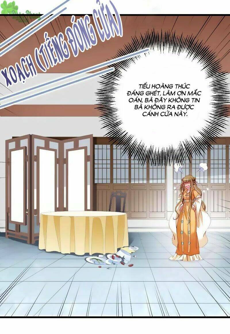 Tiểu Hoàng Thư Và Tiểu Hoàng Thúc: Chapter 38