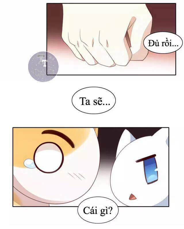 Dưới Móng Vuốt Mèo: Chapter 14