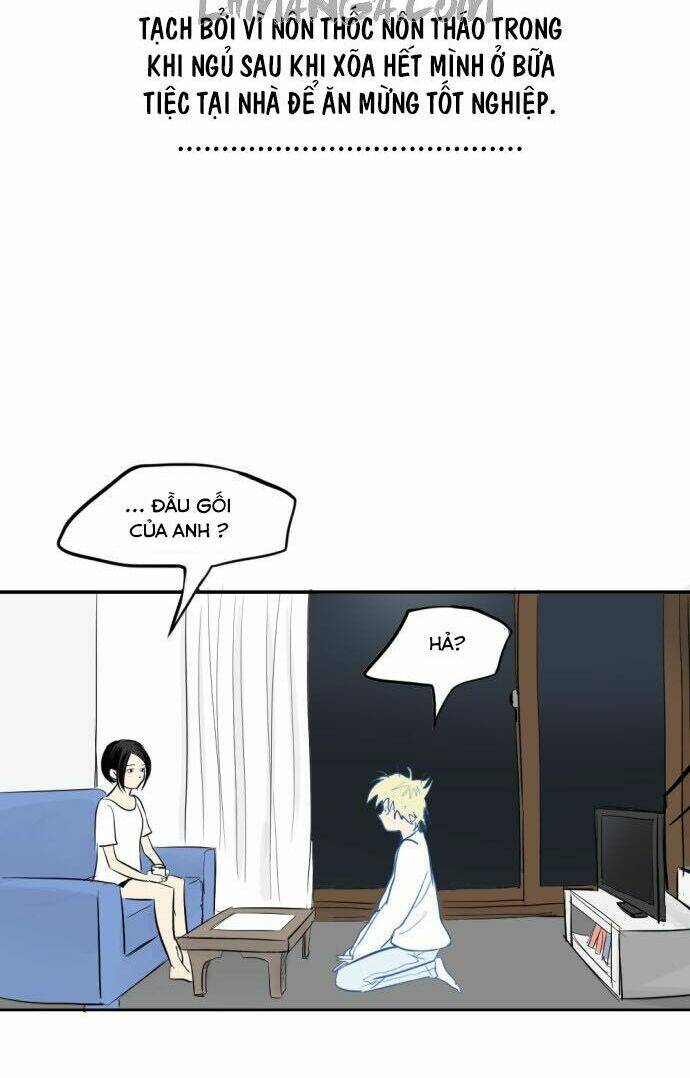 Transparent Cohabitation: Chapter 3